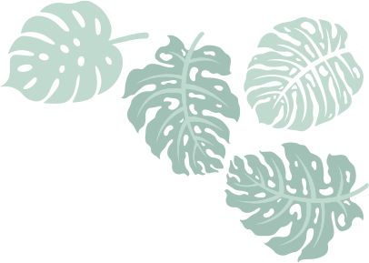 testimonial-shape4-1